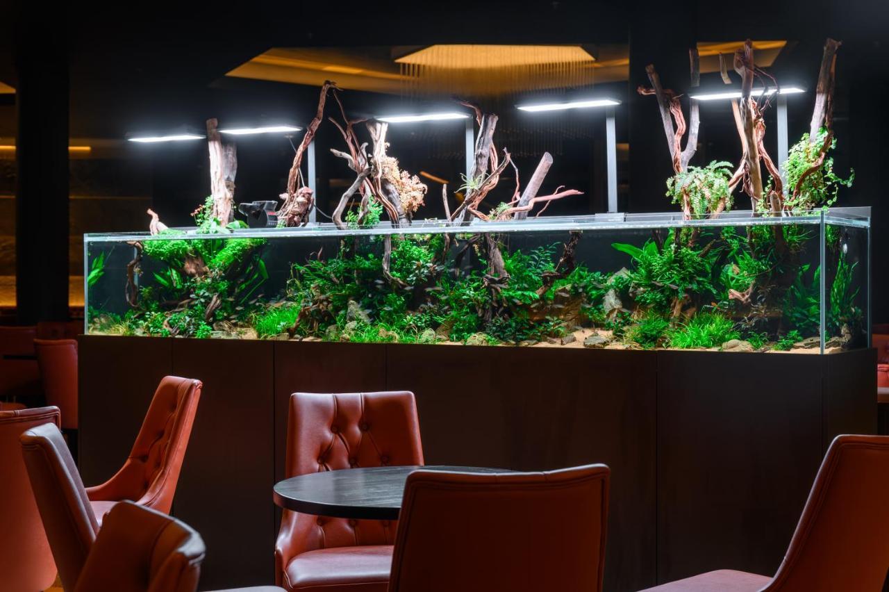 Minaro Hotel Tokaj - Mgallery Collection (Adults Only) טוקאי מראה חיצוני תמונה A planted freshwater aquarium